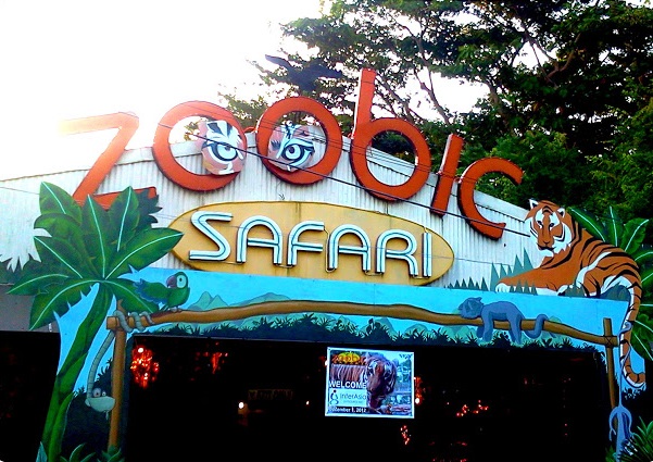 Zoobic Safari | Photo by thebackpackersadventures