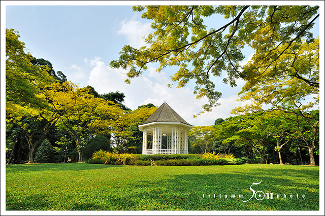 singapore-botanic-gardens