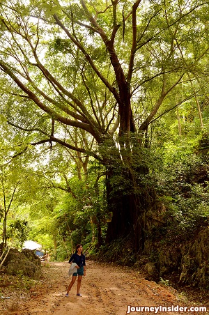 trekking-at-balaan-bukid-guimaras-for-blog