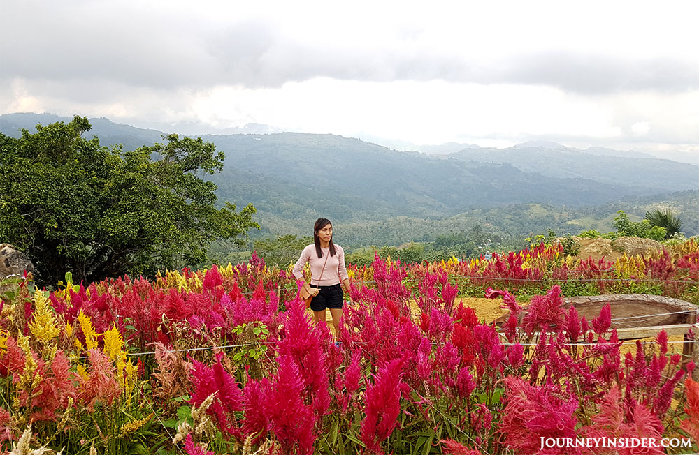 travel-guide-to-sirao-garden-cebu