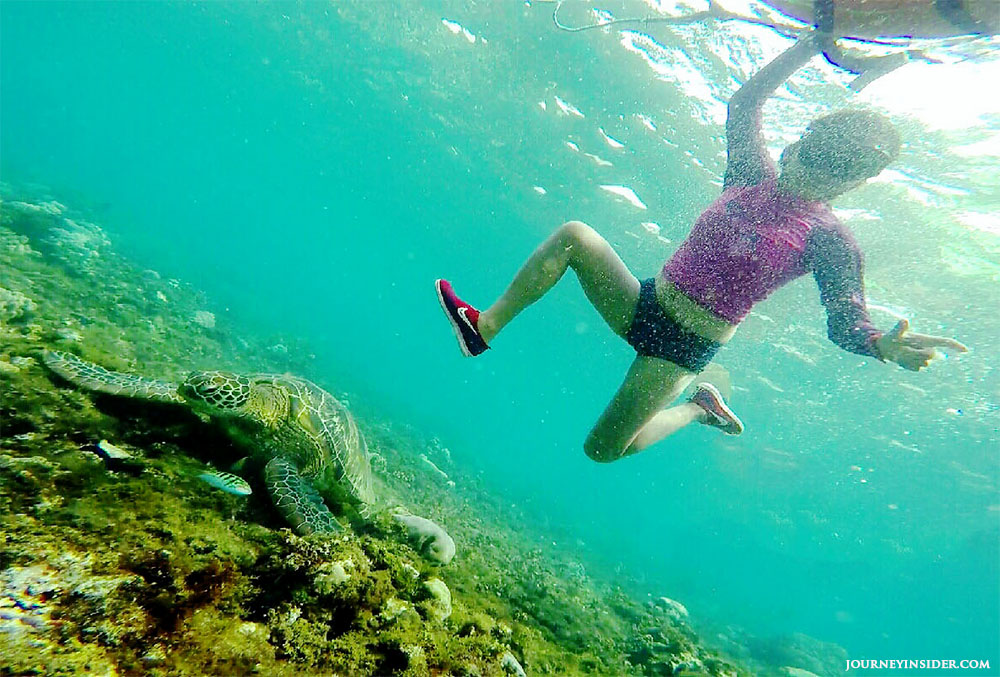 swimming-with-sea-turtle-in-apo-island-dumaguete