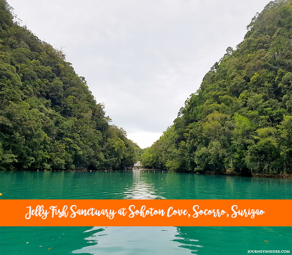 jelly-fish-sanctuary-at-sohoton-cove-socorro-surigao-del-norte