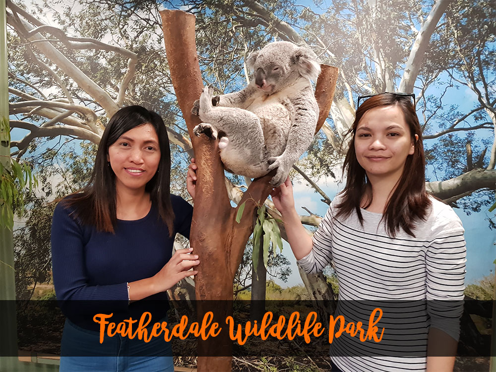 digitalmaas-ph-at-featherdale-wildlife-park-sydney