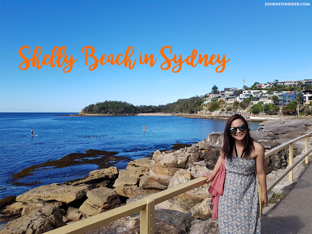 shelly-beach-in-sydney